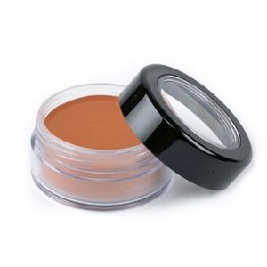 PICTURE PERFECT FOUNDATION – ORIGINAL (SUN WORSHIP TAN)